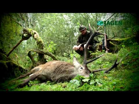 Trailer: Mature stags and fast sows - JWW 45