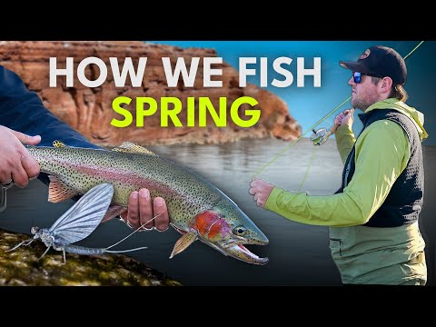 How to Fly Fish in Spring (What Actually Works)