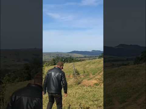 troco por casa Maringá e região sítio em Pinhalão PR