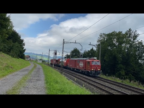 [ FR / DE ] Trafic ferroviaire à Immensee / Bahnverkehr im Immensee , Gothard