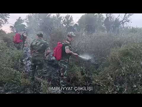 FHN Mətbuat xidmətinin məlumatı (video)