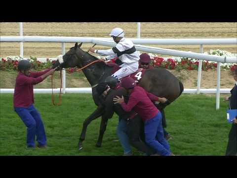 33rd Race Meeting of Season 2016 / 2017