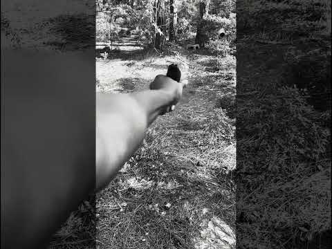 The Taurus GX2 Review a good 6/10