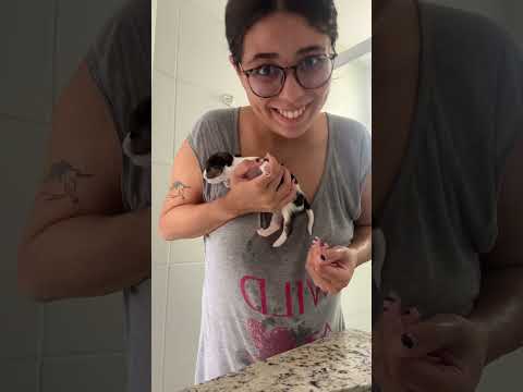 ROTINA DA FILHOTINHA *eu não esperava que isso fosse acontecer 🥲