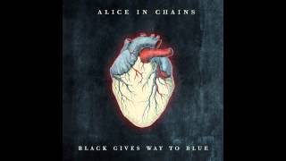 Alice in Chains - Last of My Kind