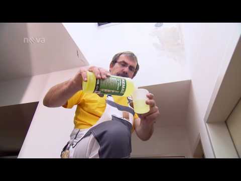 Jak bojovat proti plísni na stěnách v bytě