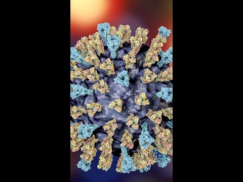 Thousands of measles cases confirmed in the U.S.