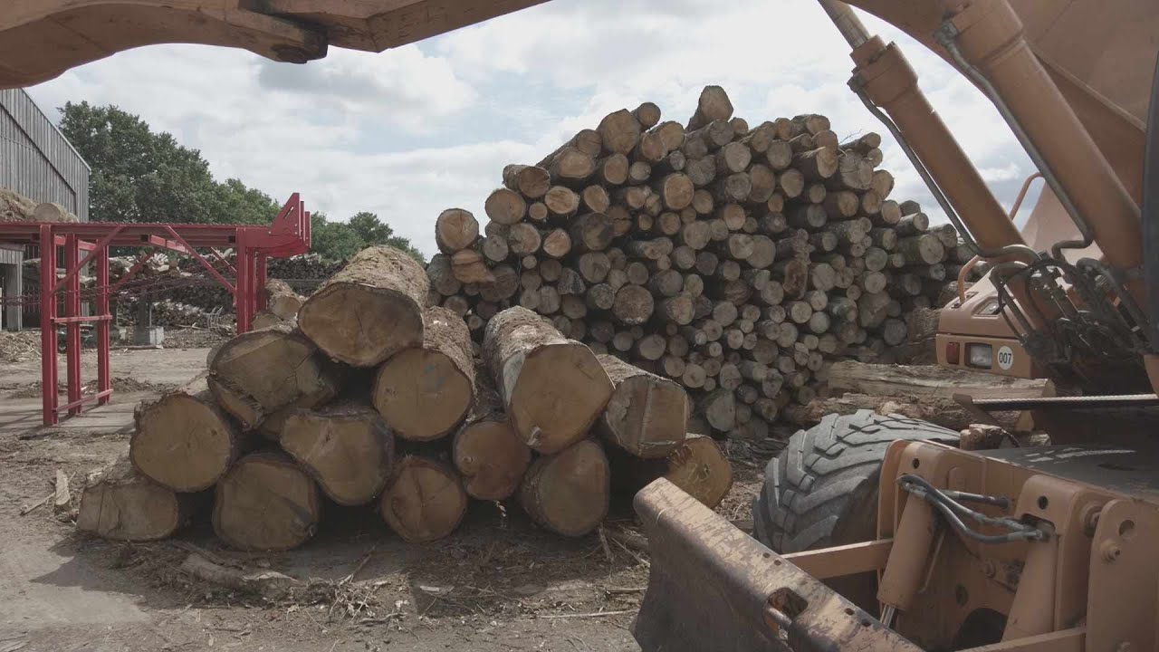 A la découverte de nos métiers : Entrepreneur bois de chauffage avec Jardi'Bois