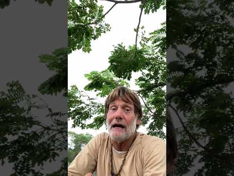 NoFap | Your Energy Speaks So Loud, I Can’t Hear Your Words!