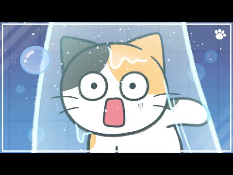 Cat Bathe: Why do cats hate and How to Handle
