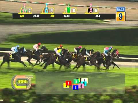 KrisFlyer International Sprint 2015 (Aerovelocity)