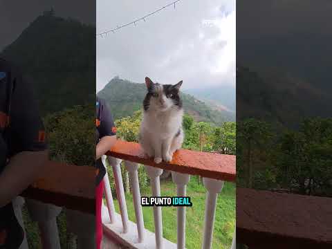 🔥Síguenos para más rutas📍Caldas - Fredonia - Sta Bárbara #moto #offroad #Antioquia #TT200 #Enduro