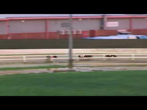 2017 WILLIAM HILL PETERBOROUGH DERBY - HEAT 1 - T1 DARK RECRUIT