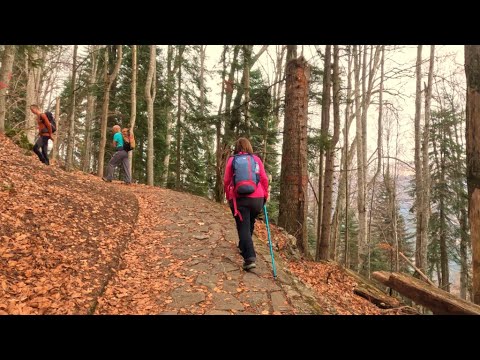 Poteca Regală din Sinaia - Traseu ușor si plin de istorie