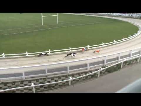 2023.04.22. 07. futam - Szezonnyitó Nagydíj