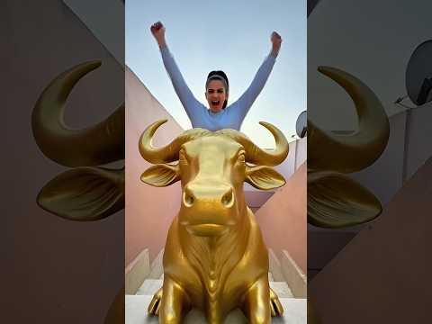 البنت كسرت الثور الزهبي😱🤲