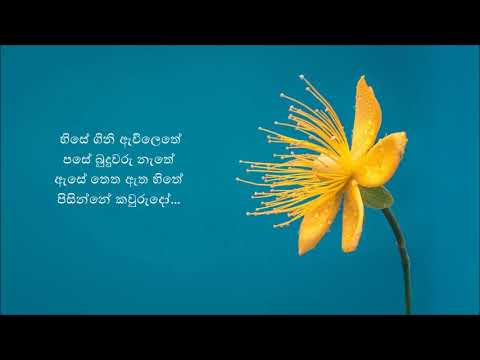 Sunil Edirisinghe..Hise gini awilethe..(හිසේ ගිනි ඇවිලෙතේ...පසේ බුදුවරු නැතේ)