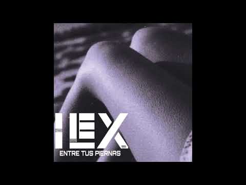 Video de Ilex