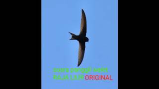 Download lagu SP WALET TERBAIK 👍💯 AMPPUH mp3 Download lagu SP WALET TERBAIK 👍💯 AMPPUH mp3