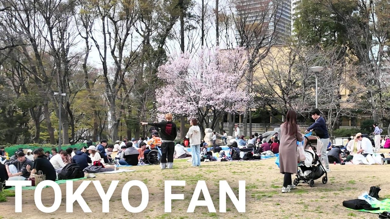 新宿散歩 |【4K】 Walking Shinjuku Tokyo Japan (March 2026)