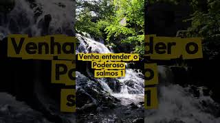#deus #fé #jesus #evangelho #palavradedeus #bibliasagrada #deusnocomando #deusnocontrole