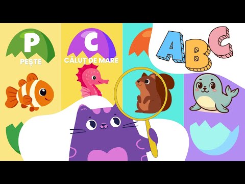 First words I Educational video for children I PAM BEBE