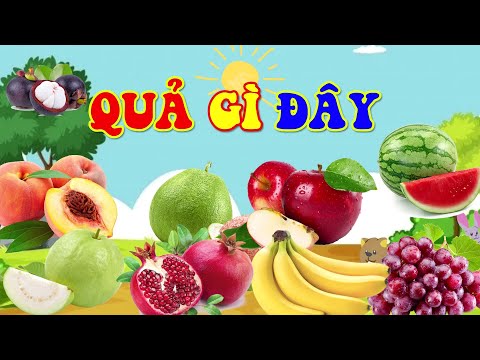 QUẢ GÌ ĐÂY | BÉ PHÂN BIỆT CÁC LOẠI QUẢ | BÉ ĐOÁN TÊN QUẢ QUA HÌNH ẢNH | SỨA TV