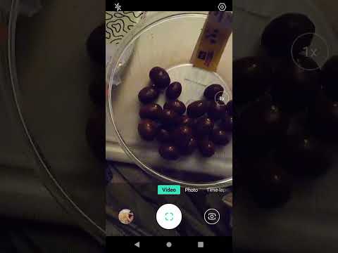 Product Review: Landmark Confections Chocolate Covered Almonds!!!