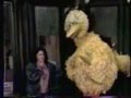 Classic Sesame Street Big Bird S Day With Keys