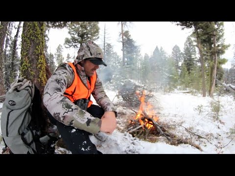 download lagu mp3 mp4 Hunting Mule Deer In Weather, download lagu Hunting Mule Deer In Weather gratis, unduh video klip Hunting Mule Deer In Weather