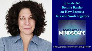 Bonnie Bassler on How Bacteria Talk and Work Together | Mindscape 361