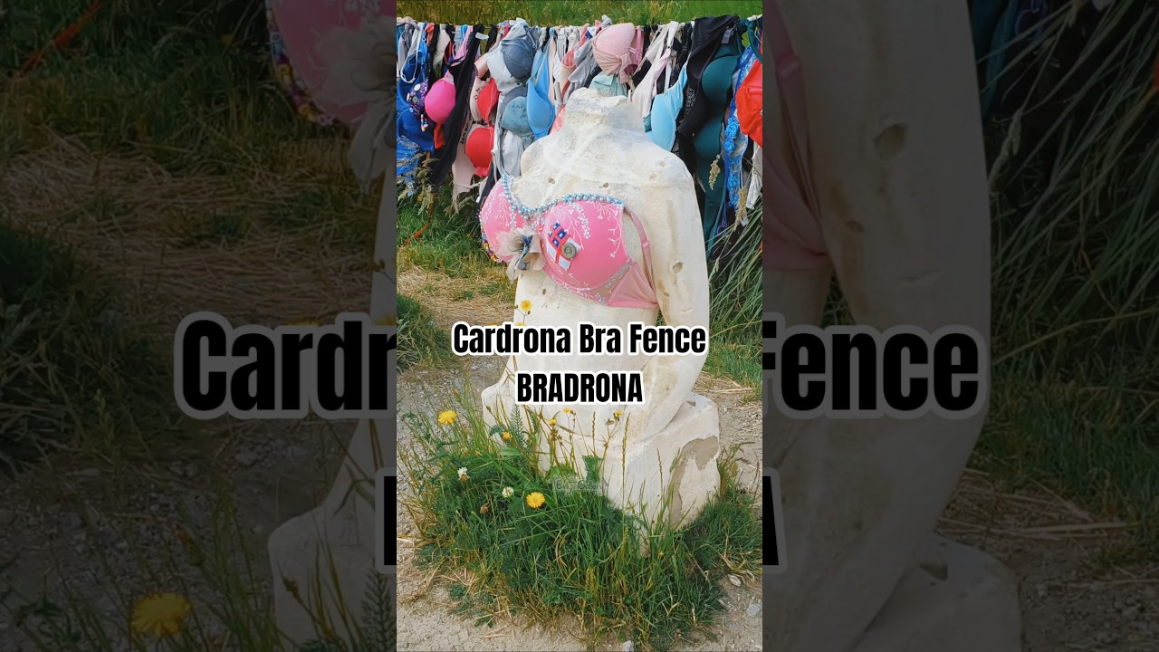 YouTube Short thumbnail