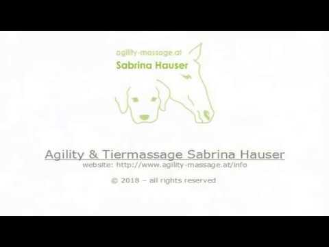 Agility Courses by Sabrina Hauser - 29.06.2018 (A1)