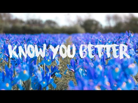 Sam Feldt X LVNDSCAPE - Know You Better (feat. Tessa)