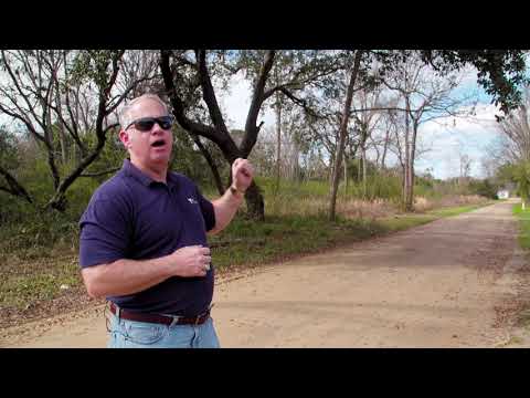 Battle of Seccessionville: The Confrontation