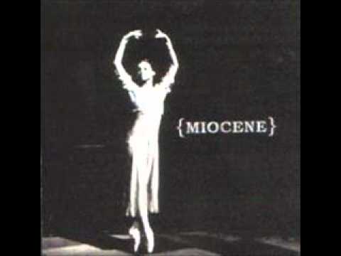 Miocene -   State Of Flux