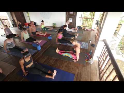 Welcome to the Yoga Loft!