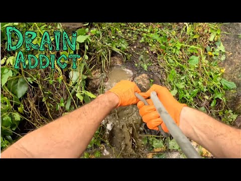 Drenaje bloqueado 1130