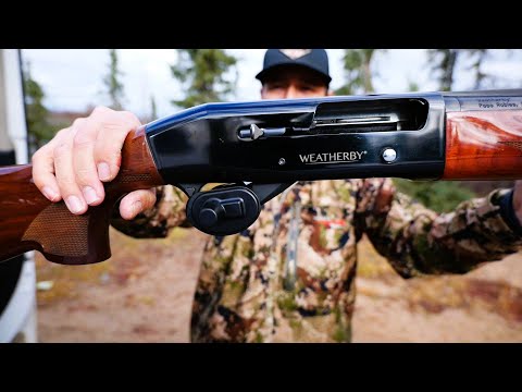 Grouse hunting with my new 12GA (catch&amp;cook)
