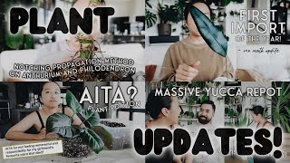 starting august with a few plant updates!