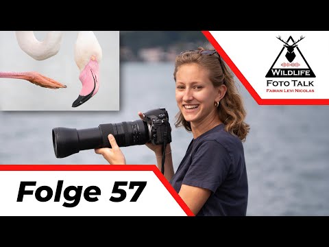 Leana Kuster - Minimalist Animal Photography