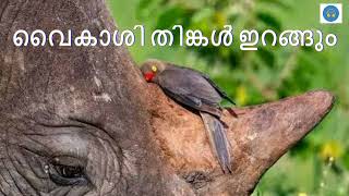 Download lagu Vaikashi Thinkalirangum - Akashaganga(1999) mp3