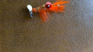 Propeller Shrimp Fly