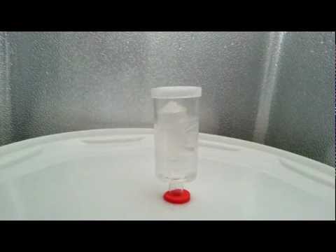 Safale S-33 storm fermentation