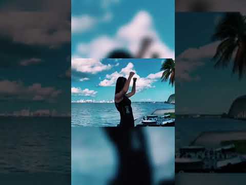 M.D Project & Мальчишник НОЧЬ