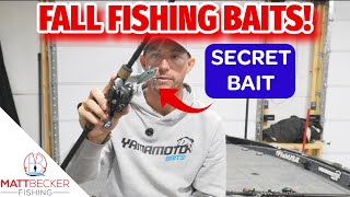 THESE are the BAITS I am using THIS FALL!