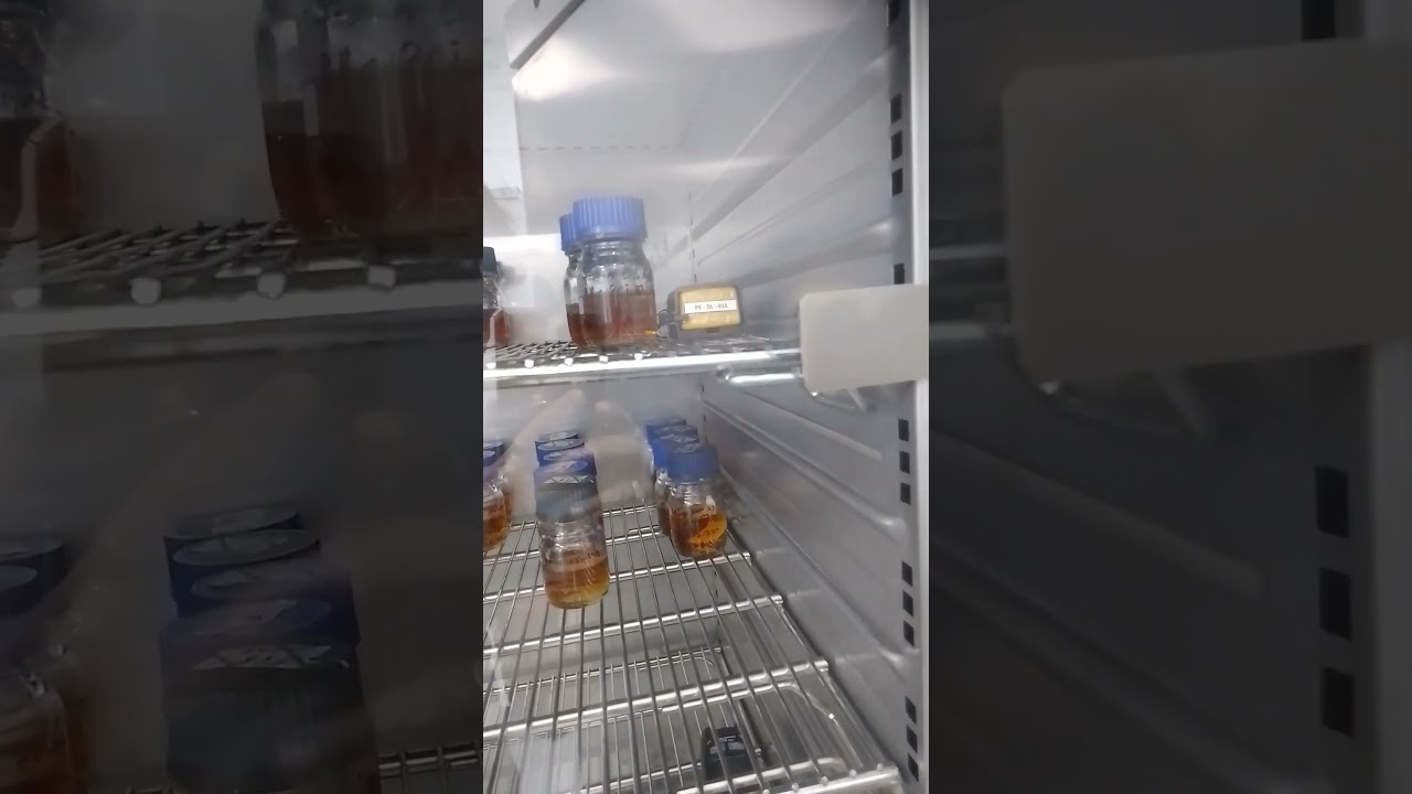 Thermal mapping process || for place the data logger in incubator 72 hours for temperature reading..