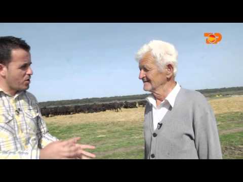 Ne Shtepine Tone, 6 Maj 2016, Pjesa 5 - Top Channel Albania - Entertainment Show