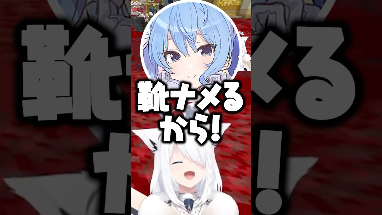 金のためなら何でもやろうとするすいちゃんに頭を抱えるフブちゃんｗ【ホロライブ切り抜き/白上フブキ/さくらみこ/星街すいせい】