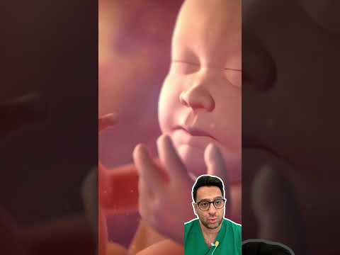 Hamilelikte Önemli Vitamin ve Mineraller Nelerdir?